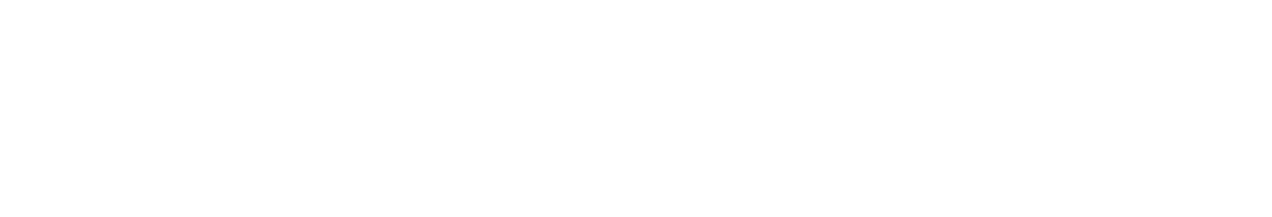 CloudAssurance Logo White